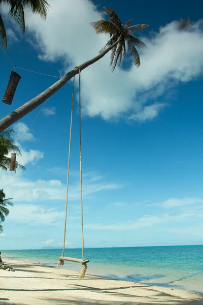 Качели свисают с кокосового дерева над пляжем — стоковое фото
