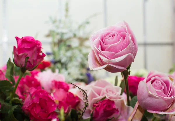 Pink rose bouquet close up background — Stock Photo, Image