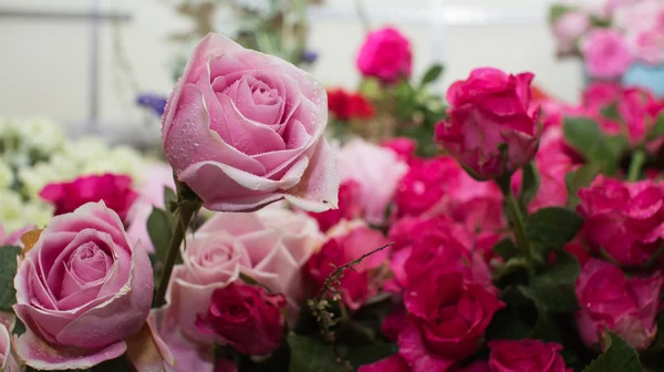粉红色的玫瑰花束关闭了背景 — 图库照片