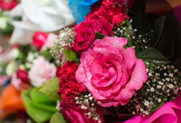 Rosa ros bukett närbild bakgrund — Stockfoto