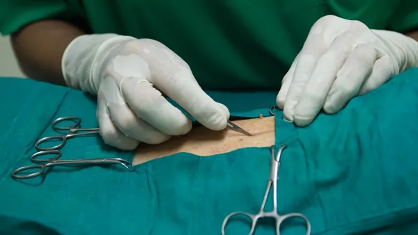 Eläinlääkäri sterilointi operaatio koira — kuvapankkivalokuva