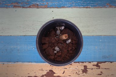 Sigara kül kahve tepsisi