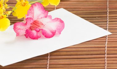 Kağıt ve çöl gülü