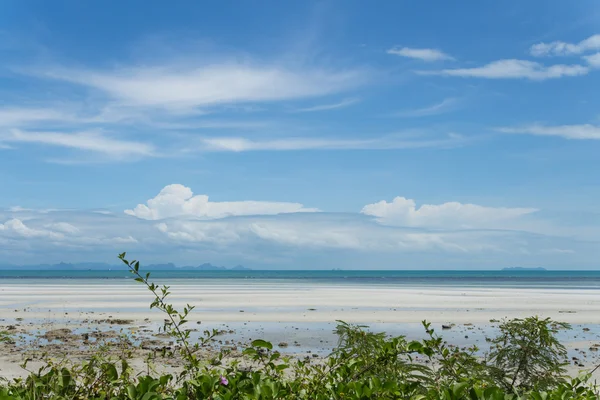 Coastline — Stock Photo, Image