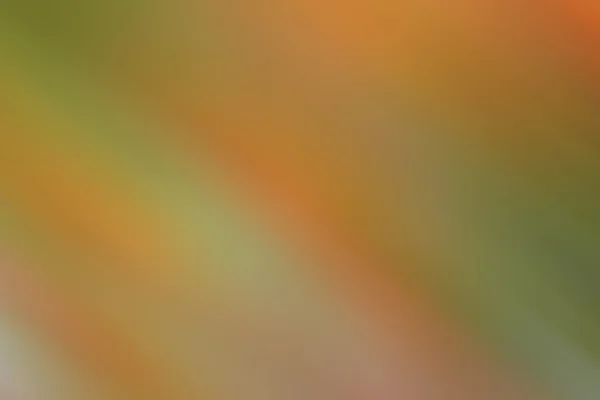 Grön gul oskärpa bakgrund — Stockfoto