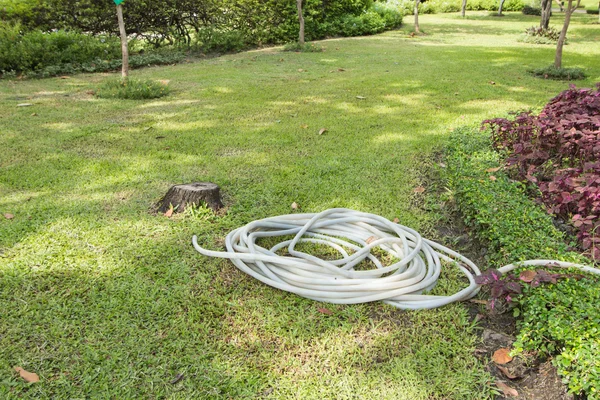 Schlauch zur Bewässerung der Pflanzen — Stockfoto