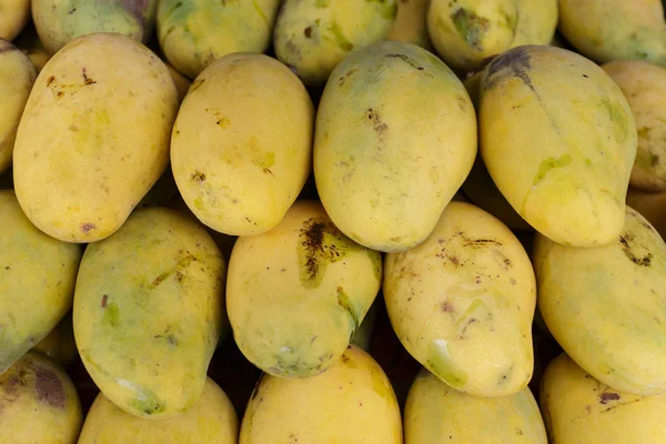 Mango gyümölcs csoportja — Stock Fotó