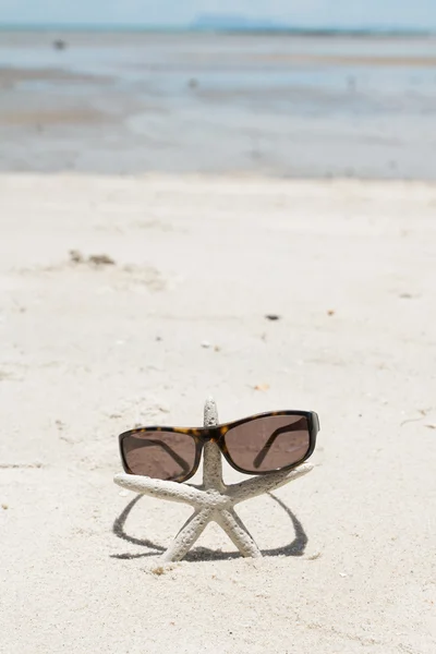 Chic sunglasses and starfish — Stock Photo, Image