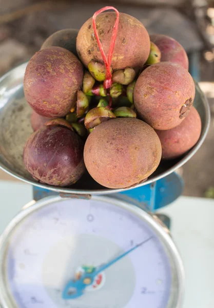 Mangosteen group by rope on scale — Stock Photo, Image