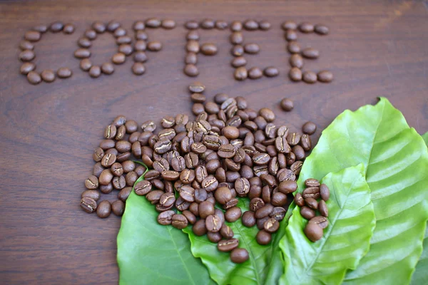 Los granos de café y la hoja —  Fotos de Stock