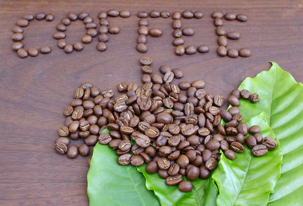 Coffee beans and them leaf — Stock Photo, Image