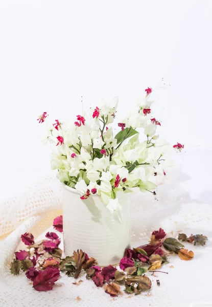 Blutendes Herz Blume in der Vase — Stockfoto