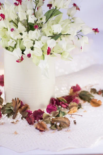 Bleeding-heart flower in vase — Stock Photo, Image