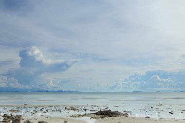 panoramisch zeegezicht met gezwollen witte wolken, blauwe hemel en groen oc