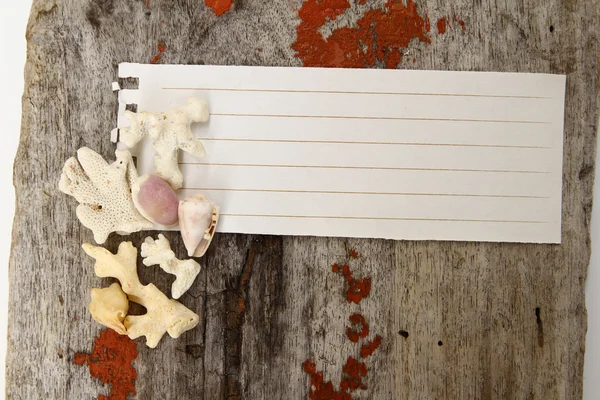 Concha e bloco de notas na tábua de madeira grunge, realista — Fotografia de Stock