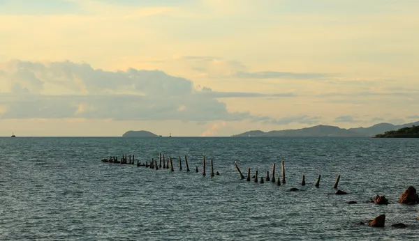 Panoramautsikt över marinmålning med fågel på pole och green ocean — Stockfoto