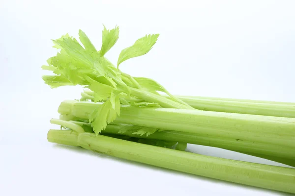 Fresh green celery isolated on white background — Stock Photo, Image