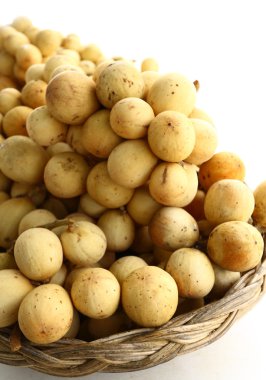 meliaceae veya langsad meyve üzerinde beyaz izole Tayland