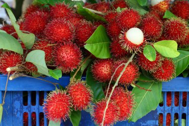 Rambutan mavi plastik sepet, tatlı ve lezzetli Tay meyve