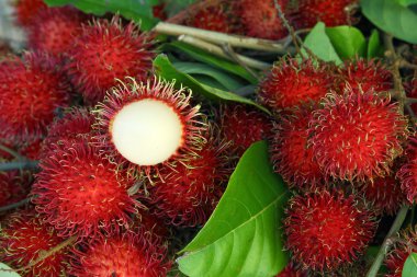 Rambutan Tay meyve, tatlı ve lezzetli