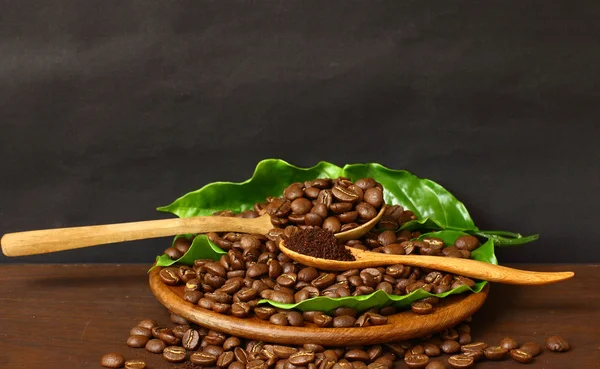 Coffee beans and them leaf on wooden spoon — Stock Photo, Image