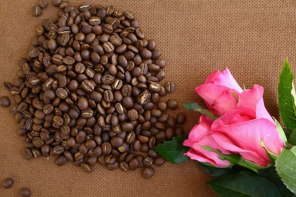 Coffee beans and pink rose
