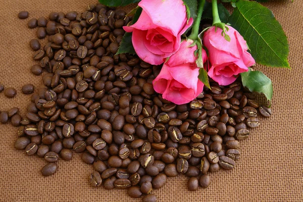 Kahve çekirdekleri ve pembe Gül — Stok fotoğraf