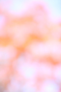 parlak bulanık renkli bokeh arka plan görüntüsü