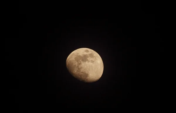 Lune dorée — Photo