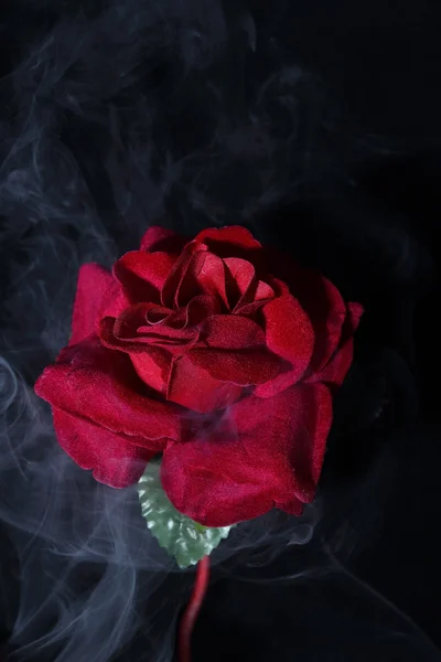 Abstraktní kouře a růže květ na tmavém pozadí — Stock fotografie