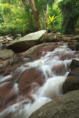 tropikal orman şelale Tayland