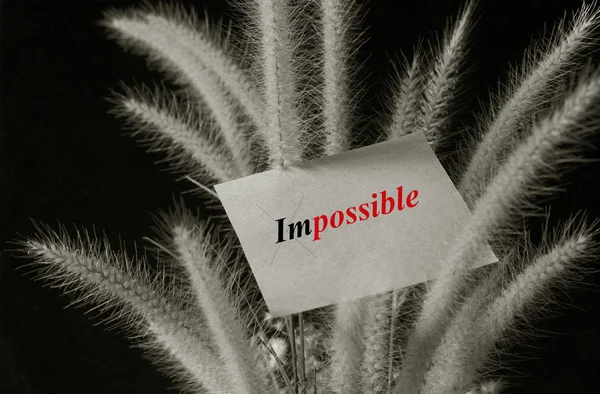 Impossible text on paper pad with flower foxtail weed on black background — Stock Photo, Image