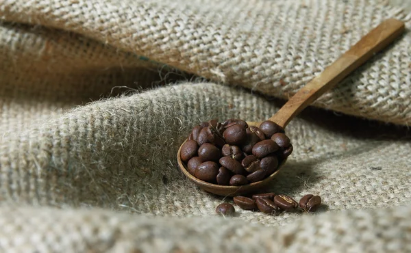 Chicchi di caffè in cucchiaio di legno su sacco — Foto Stock