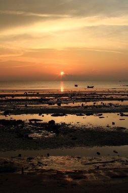 tropikal canlı gökyüzü