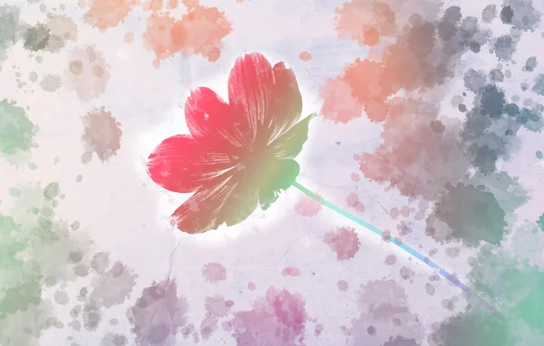Kosmos-Blume mit Aquarell-Spritzer — Stockfoto