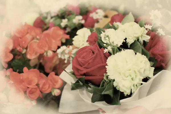 Valentines rose flower — Stock Photo, Image