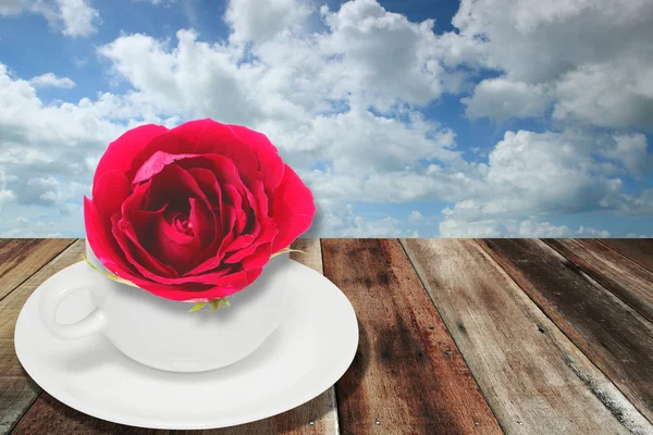 Červená růže a bílé šálek kávy — Stock fotografie