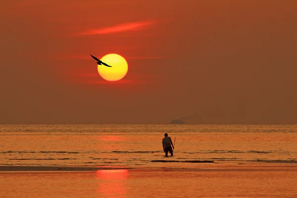 Tropikal kırmızı günbatımı yansımaları yukarıda deniz ve martı — Stok fotoğraf