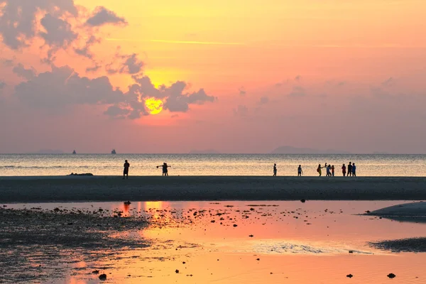 Блоха - музикантturist ser solnedgången med gyllene ljus över stranden — Stockfoto
