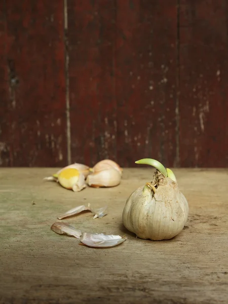 Ajos y clavos germinados en la tabla de madera grunge —  Fotos de Stock