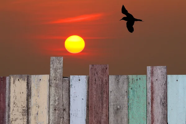 Atardecer rojo con silueta gaviota volar sobre valla retro grunge — Foto de Stock