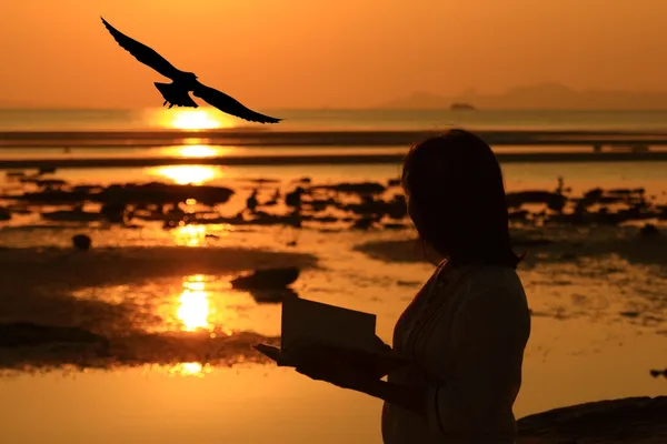 Mulher silhueta ler livro por praia ao nascer do sol — Fotografia de Stock