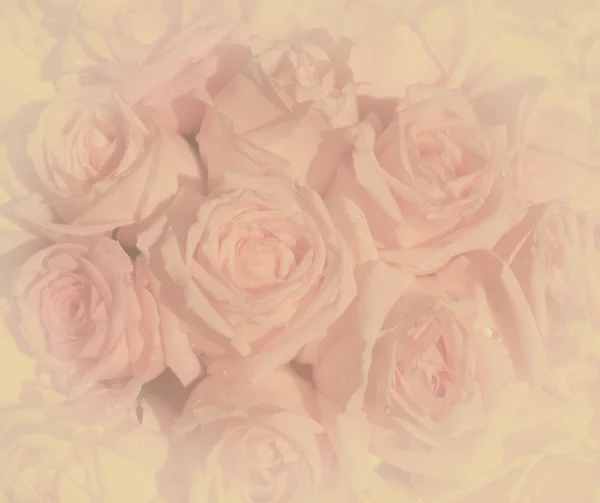 Beautiful vintage pink roses background,selective focus — Stock Photo, Image