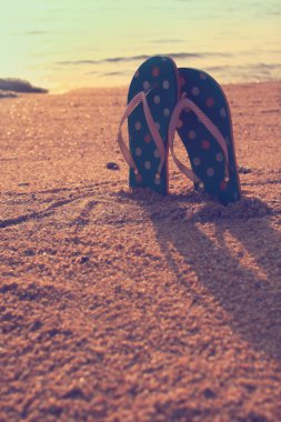 kum üzerinde renkli flip flop