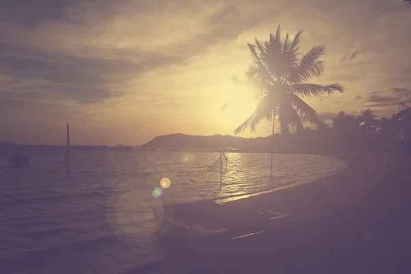 Palm tree and seascape — Stock Photo, Image