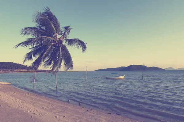 Palm tree and seascape — Stock Photo, Image