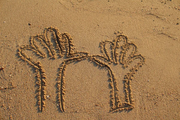 Kilka ręce wyciągnięte na piasku — Zdjęcie stockowe