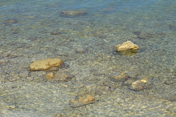 Zielone morze, piasek i koral rafa — Zdjęcie stockowe