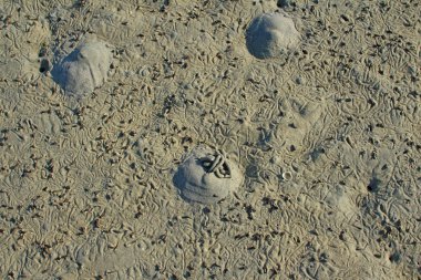 plaj kum dokulu arka plan için yararlı