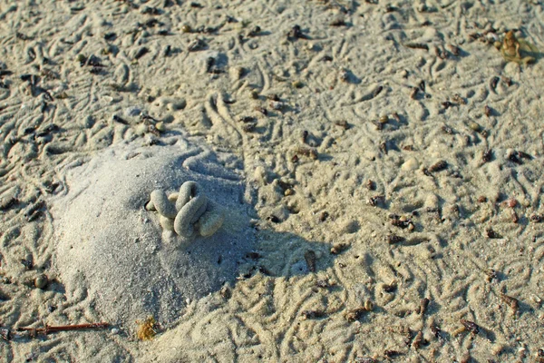 浜の砂に便利な背景テクスチャ — ストック写真